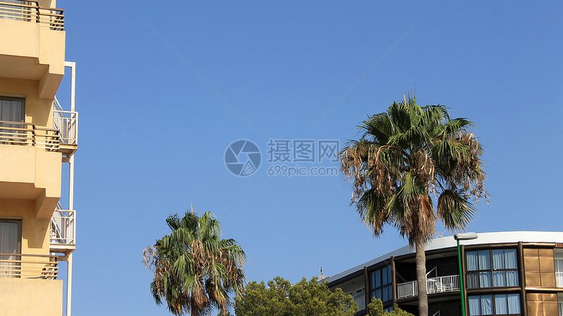 小标题：浪漫，不止于花海与烛光